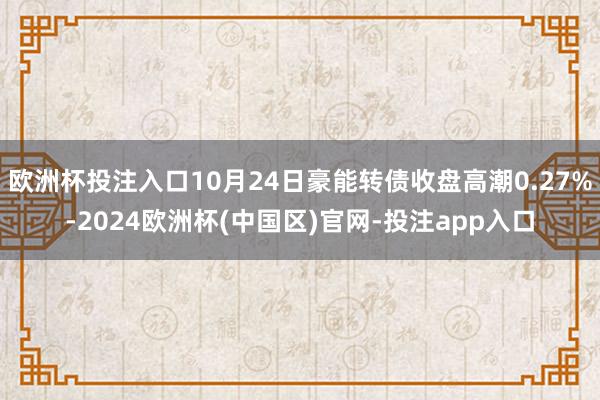 欧洲杯投注入口10月24日豪能转债收盘高潮0.27%-2024欧洲杯(中国区)官网-投注app入口