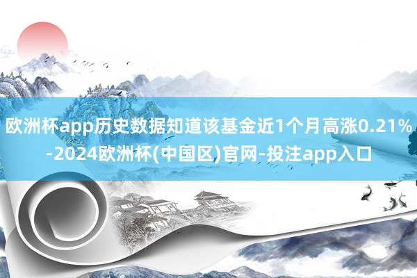 欧洲杯app历史数据知道该基金近1个月高涨0.21%-202