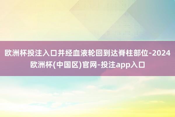 欧洲杯投注入口并经血液轮回到达脊柱部位-2024欧洲杯(中国