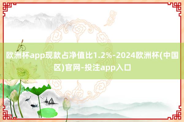 欧洲杯app现款占净值比1.2%-2024欧洲杯(中国区)官