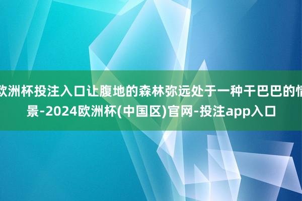 欧洲杯投注入口让腹地的森林弥远处于一种干巴巴的情景-2024欧洲杯(中国区)官网-投注app入口