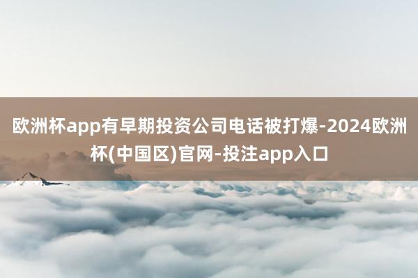 欧洲杯app有早期投资公司电话被打爆-2024欧洲杯(中国区