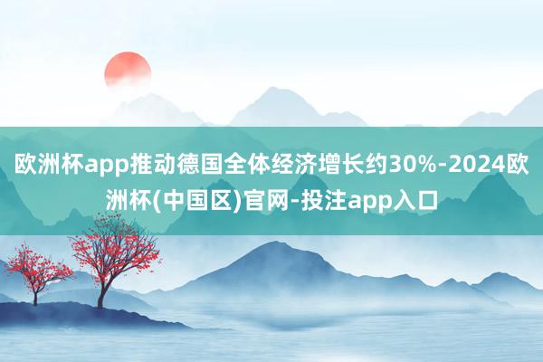 欧洲杯app推动德国全体经济增长约30%-2024欧洲杯(中
