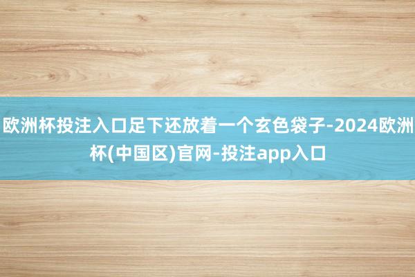 欧洲杯投注入口足下还放着一个玄色袋子-2024欧洲杯(中国区
