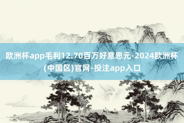 欧洲杯app毛利12.70百万好意思元-2024欧洲杯(中国