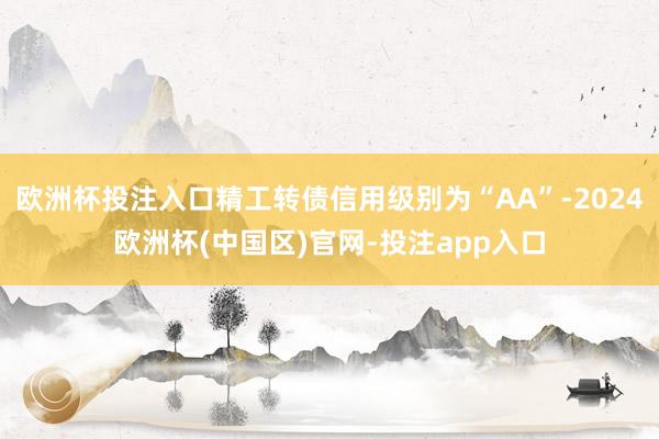 欧洲杯投注入口精工转债信用级别为“AA”-2024欧洲杯(中