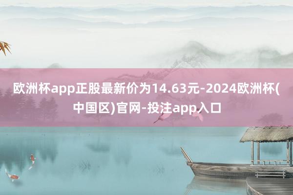 欧洲杯app正股最新价为14.63元-2024欧洲杯(中国区