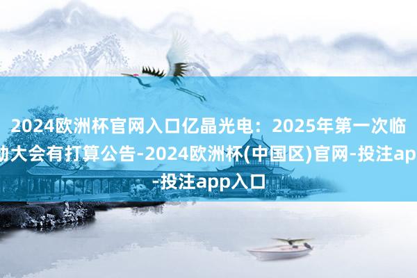 2024欧洲杯官网入口亿晶光电：2025年第一次临时推动大会